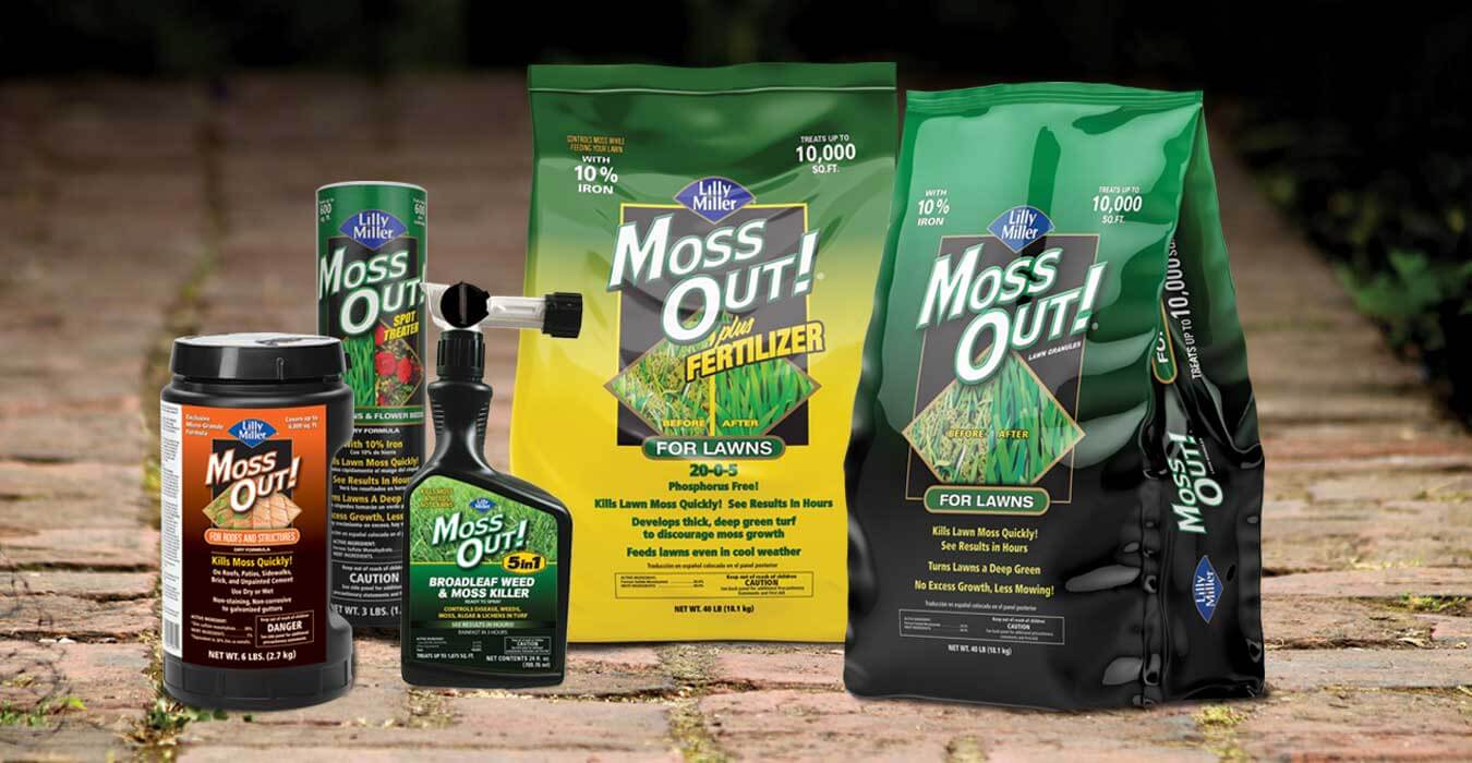 Moss Out