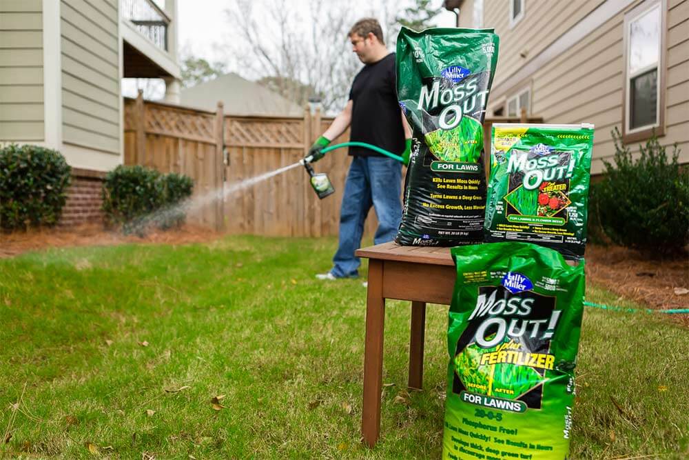 Moss Out! products in yard, near homeowner using on lawn
