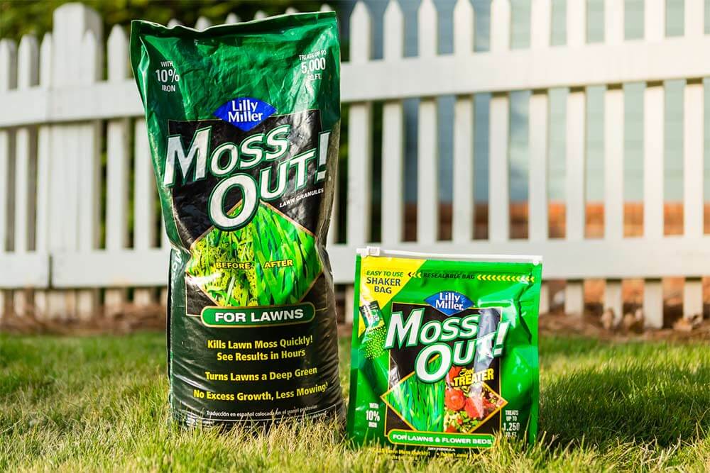 Moss Out products in yard