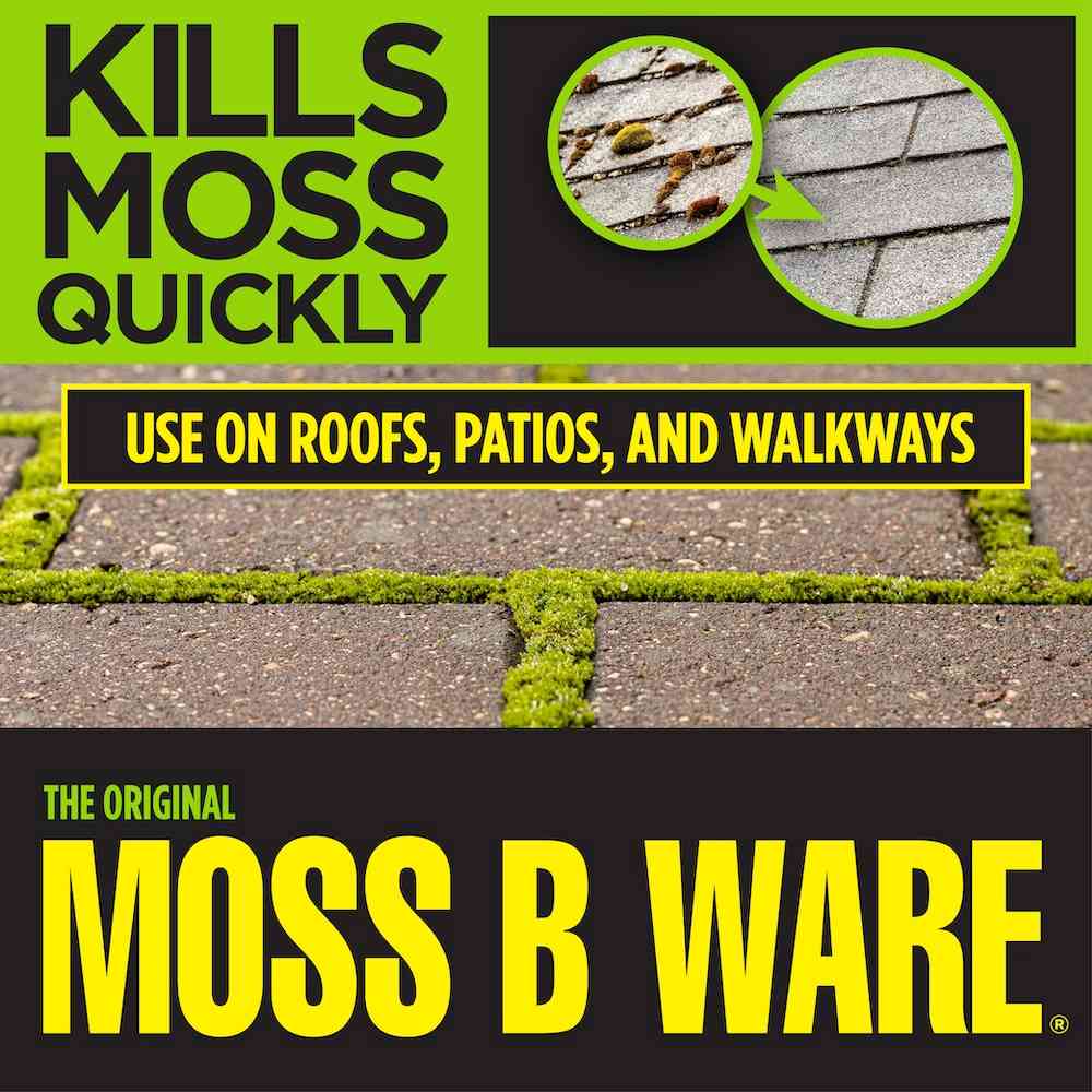 corrys moss b ware