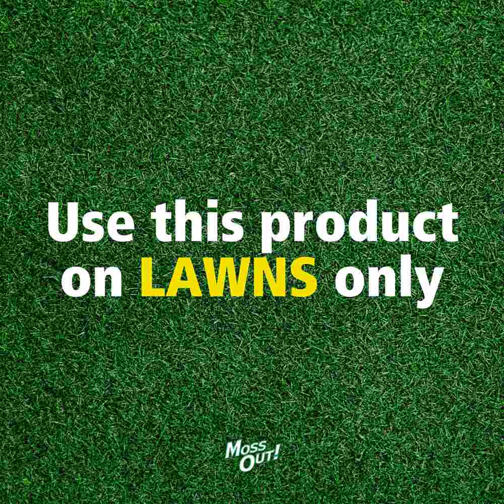 moss out for lawns liquid