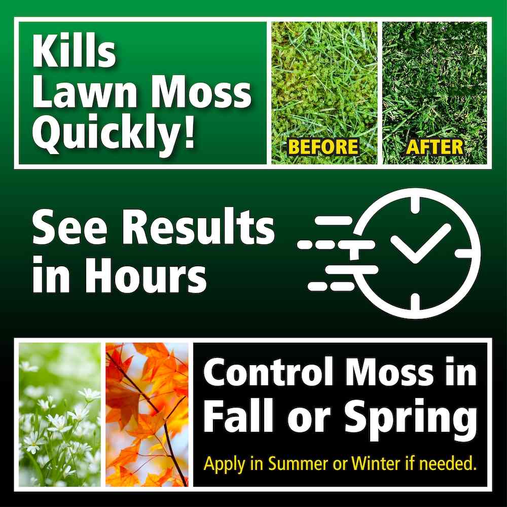 moss out for lawns liquid