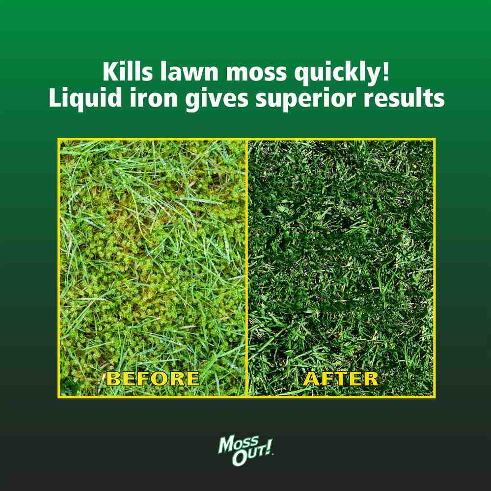 moss out for lawns liquid