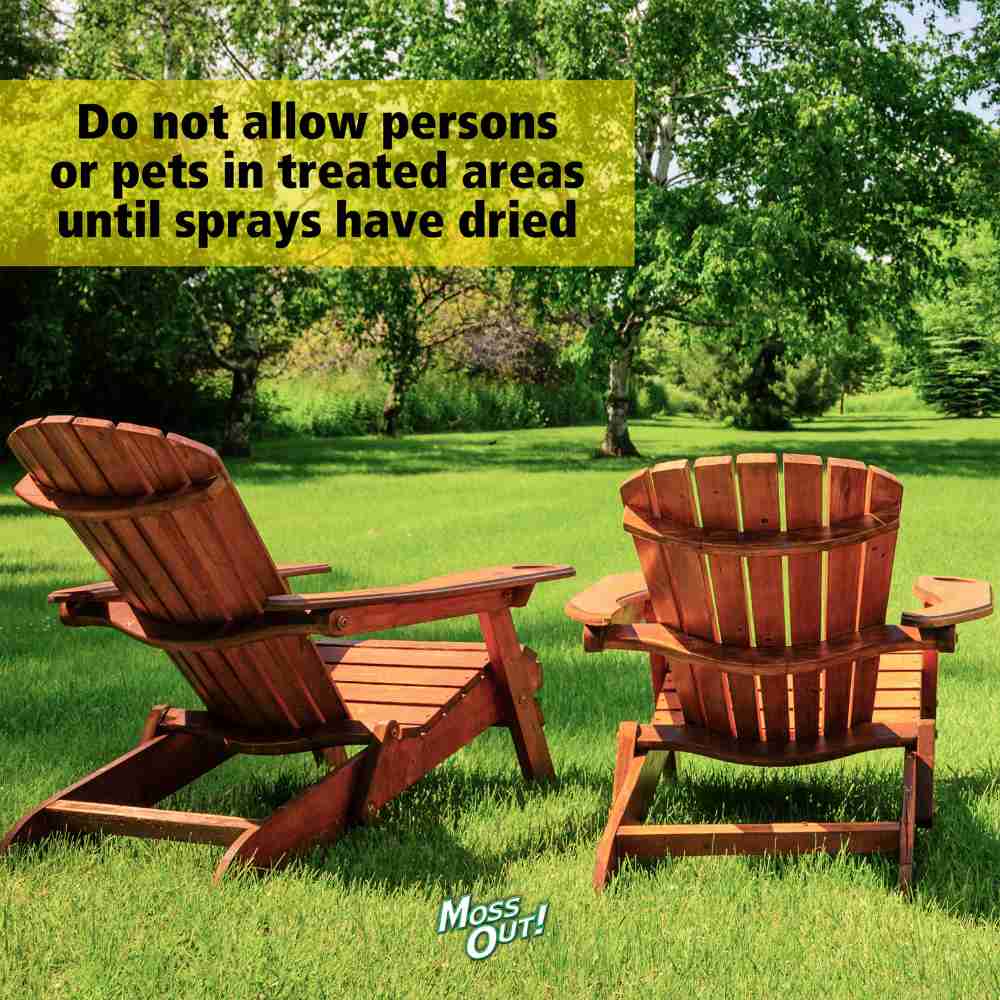moss out for lawns liquid