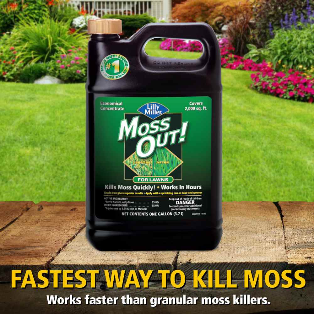 moss out for lawns liquid