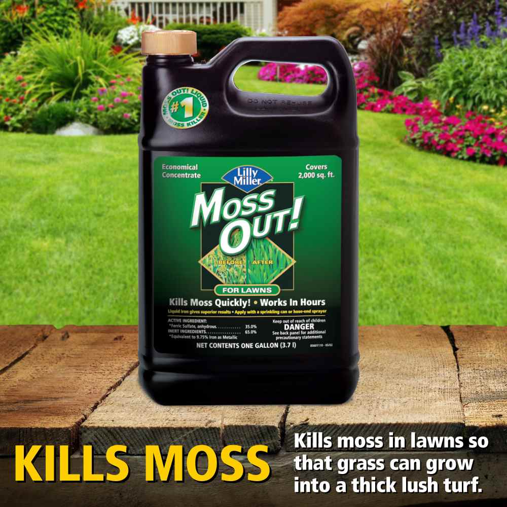 moss out for lawns liquid