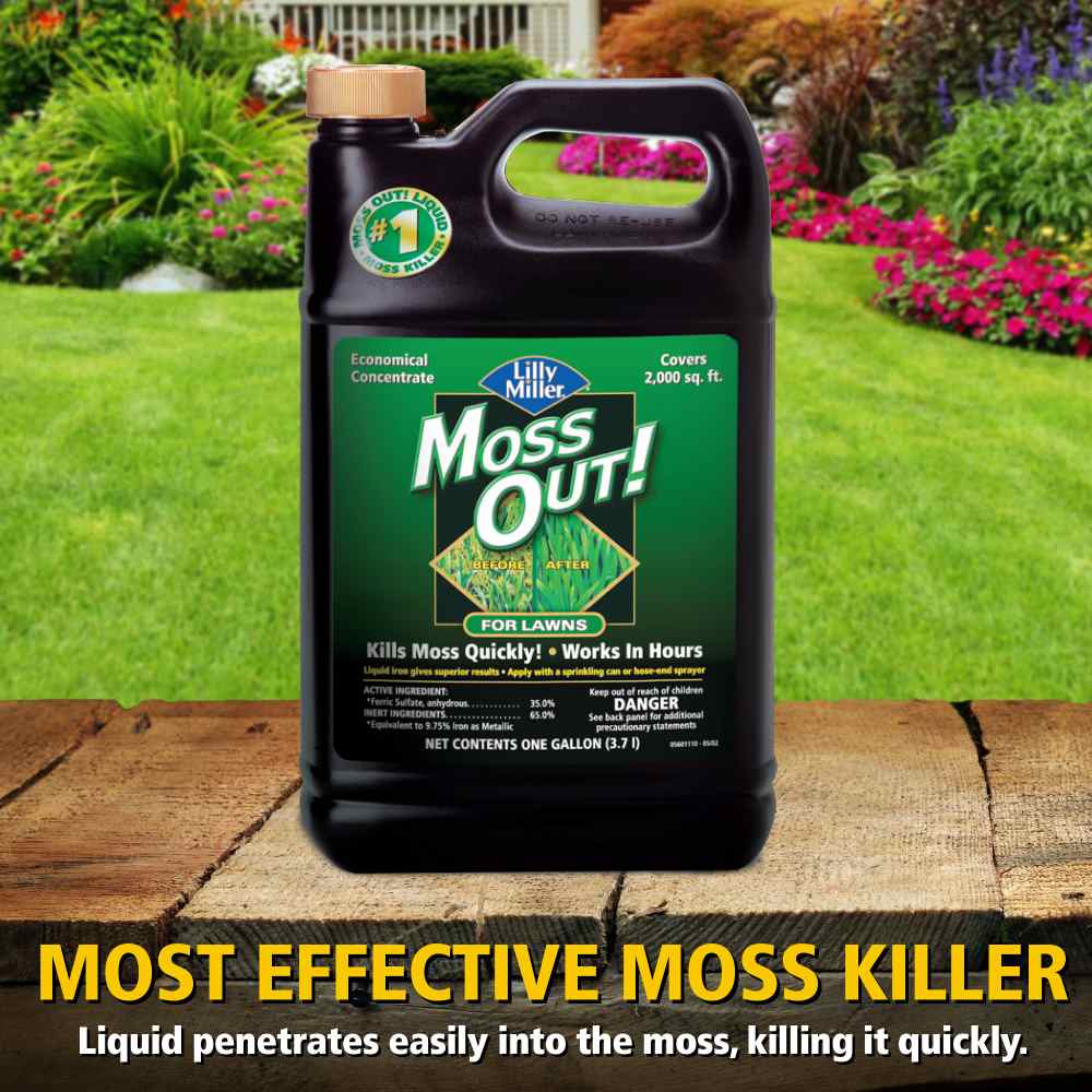 moss out for lawns liquid