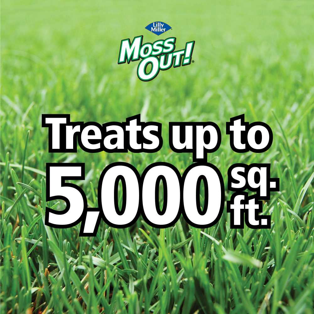 moss out fertilizer for lawns