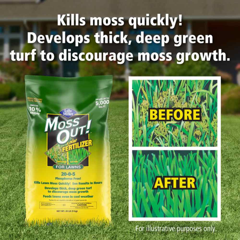 moss out fertilizer for lawns