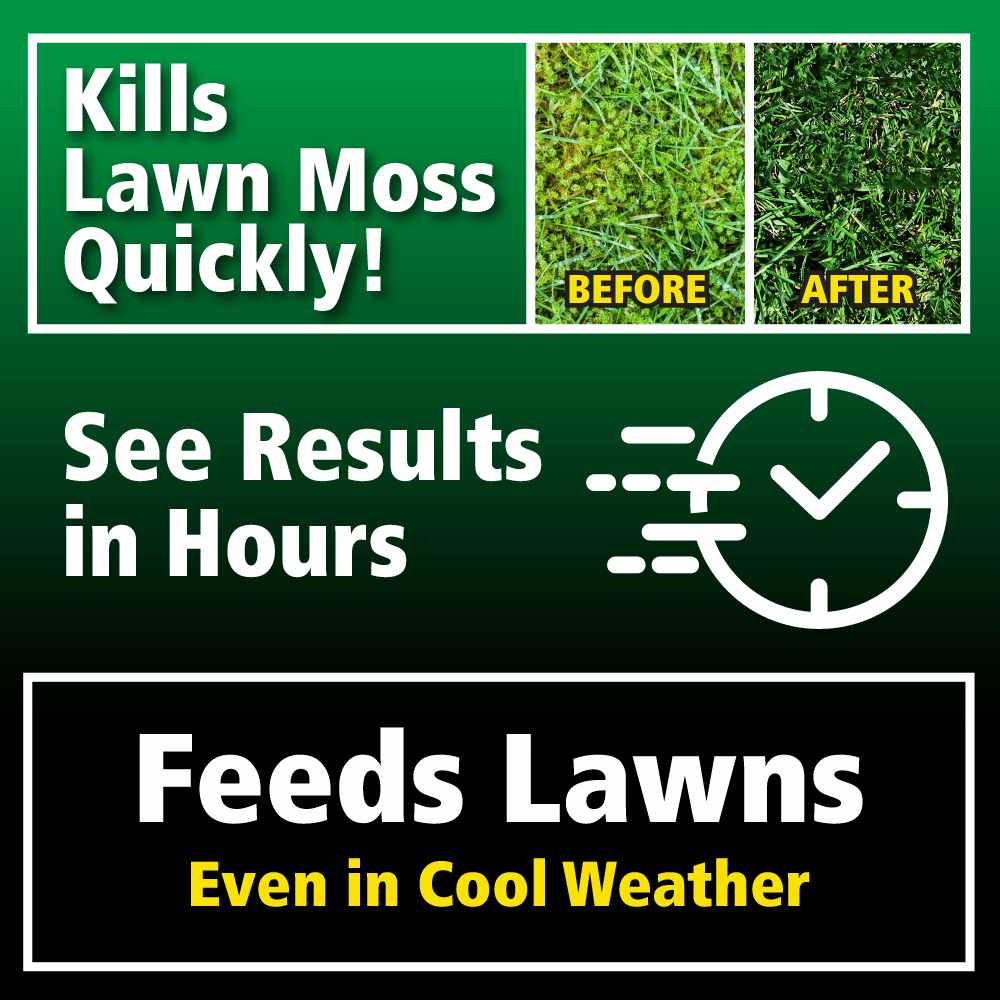 moss out fertilizer for lawns