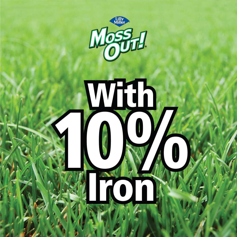 moss out fertilizer for lawns