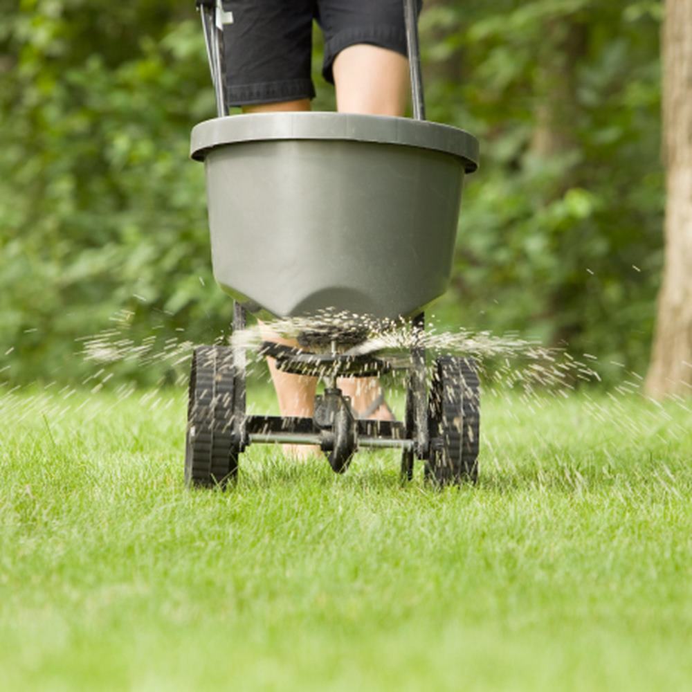 moss out fertilizer for lawns