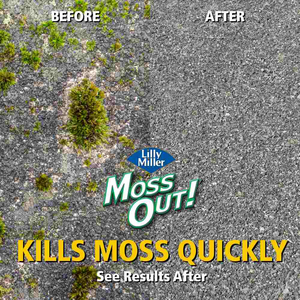 moss out for roofs and walks