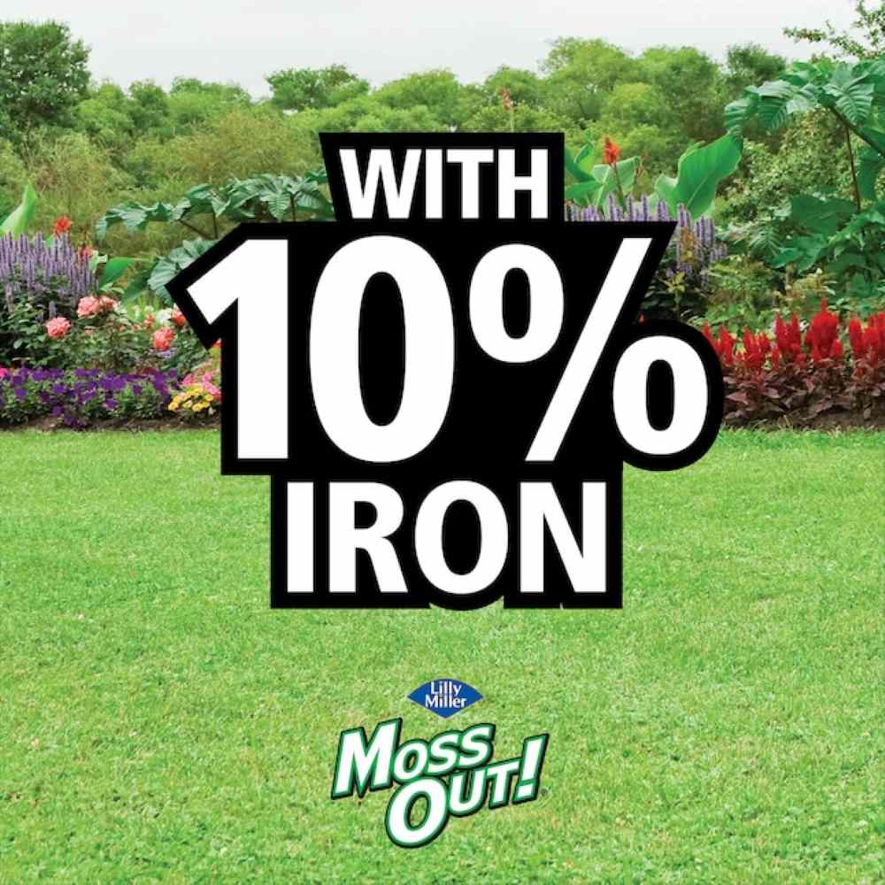 moss out spot treater for lawns and flower beds
