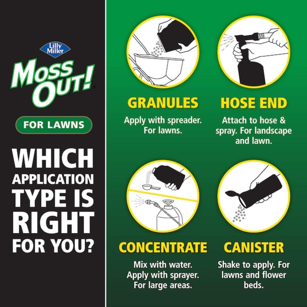 moss out spot treater for lawns and flower beds