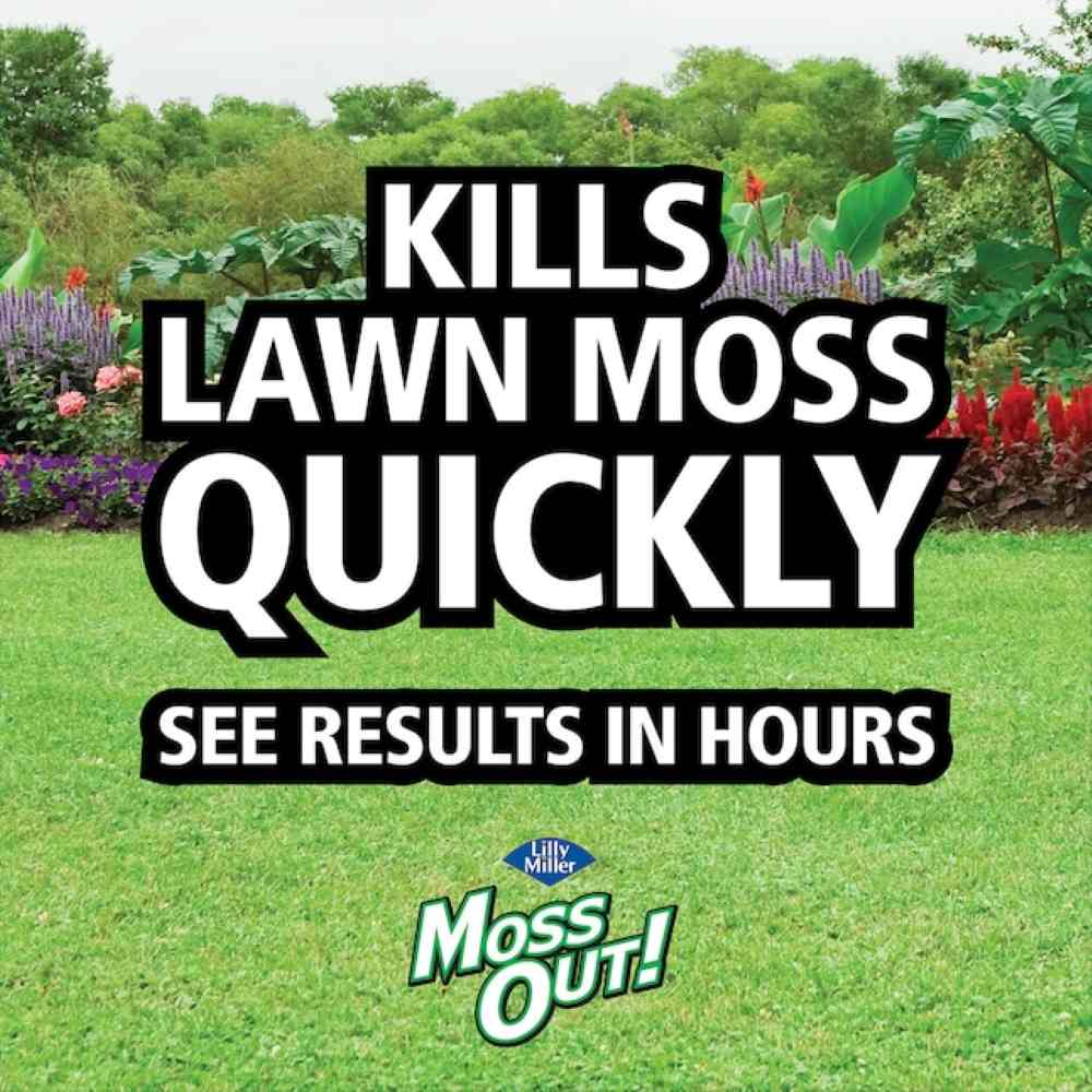 moss out spot treater for lawns and flower beds