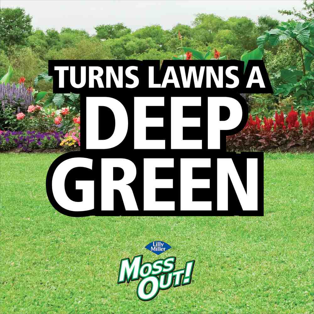 moss out spot treater for lawns and flower beds