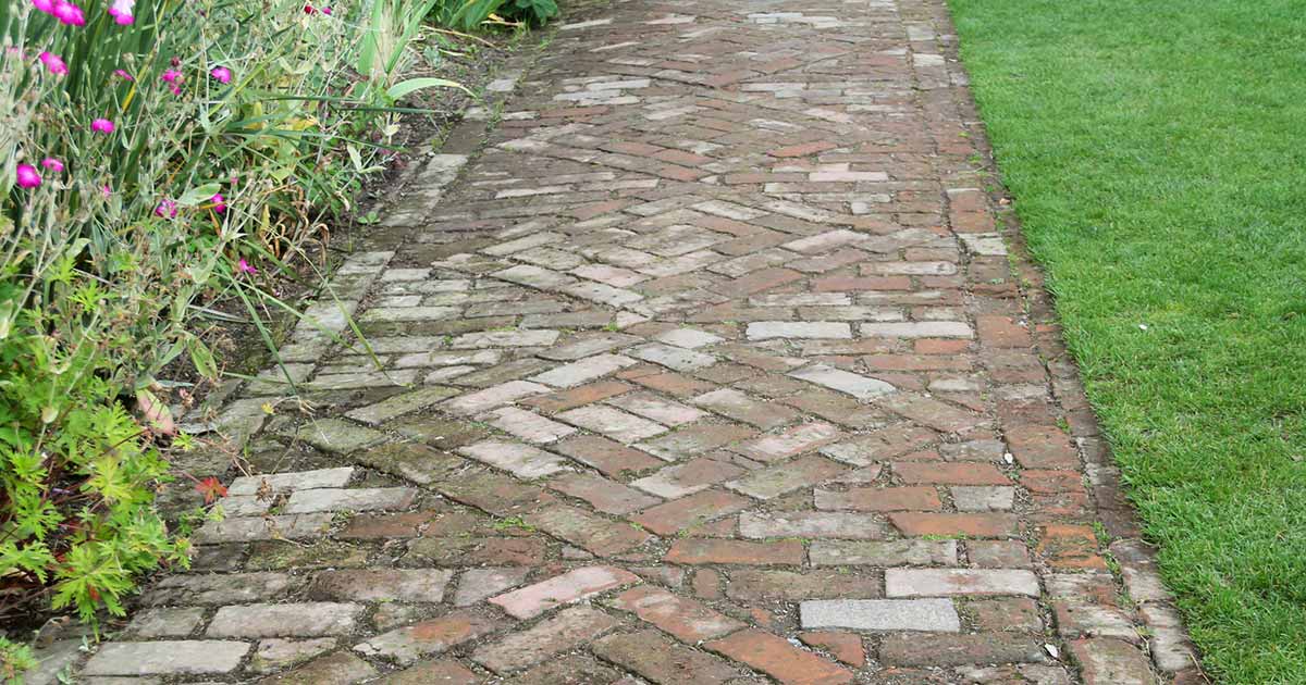 Removing Moss From Patio Paving