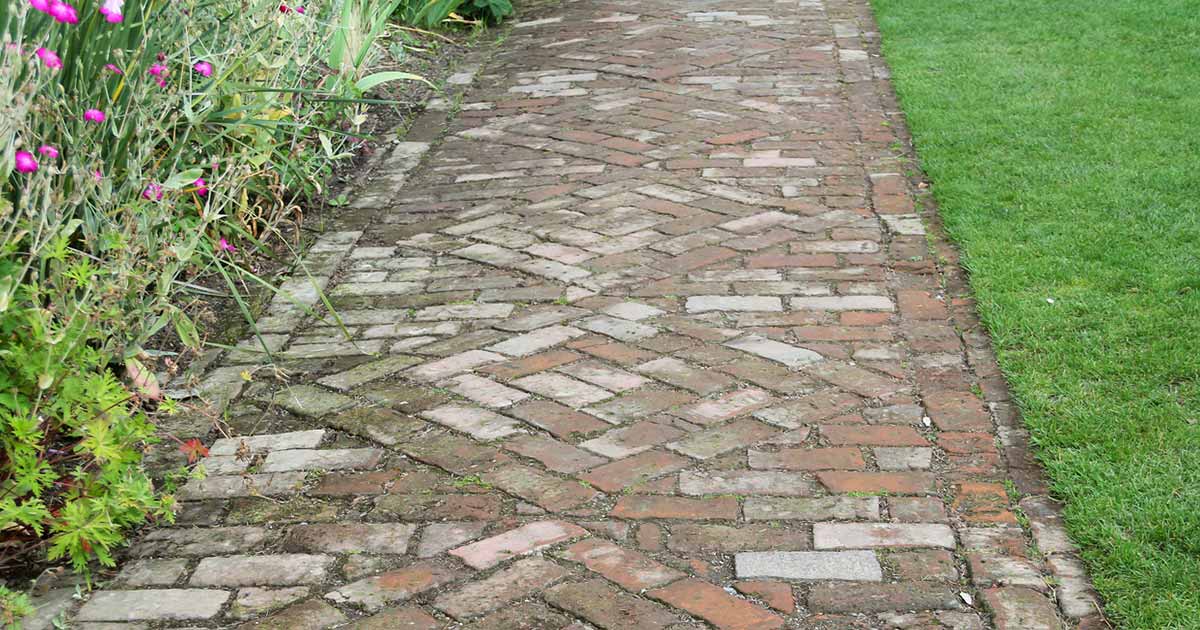 Brick paving in a garden